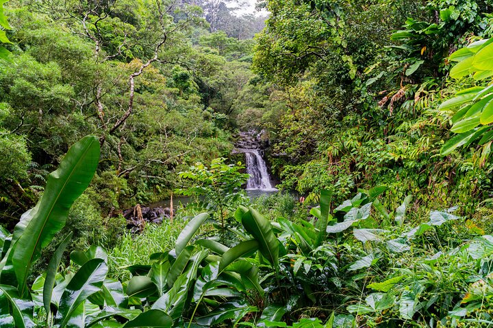 Full-Day Private Road to Hana Tour from Lahaina-Kapalua - Image 2