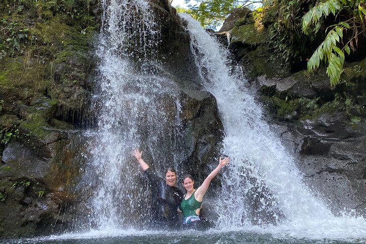 Full-Day Private Road to Hana Tour from Wailea - Kihei - Image 3