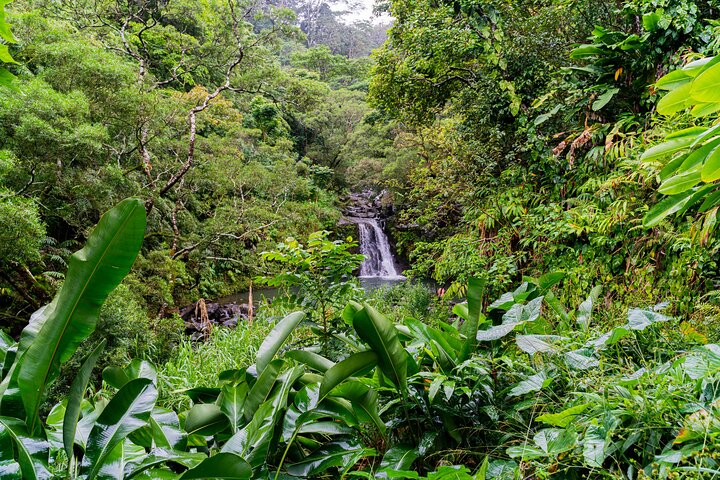 Full-Day Private Road to Hana Tour from Wailea - Kihei - Image 1