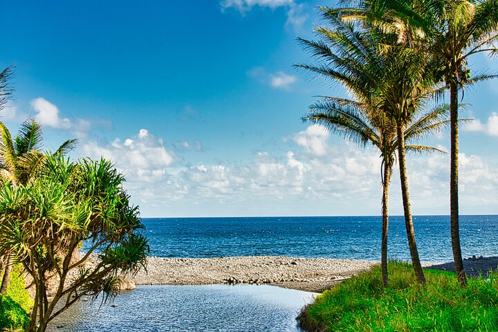 Full Day Private Road to Hana Tour - Luxury Escalade - Image 4