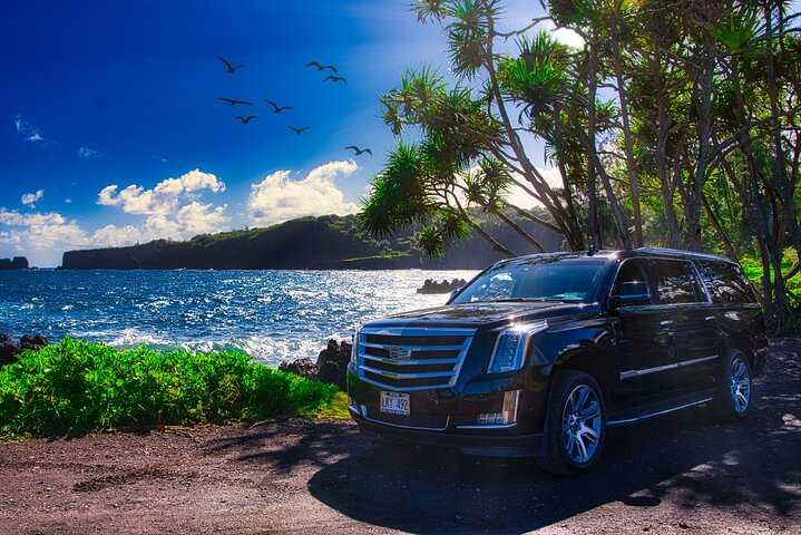 Full Day Private Road to Hana Tour - Luxury Escalade - Image 2