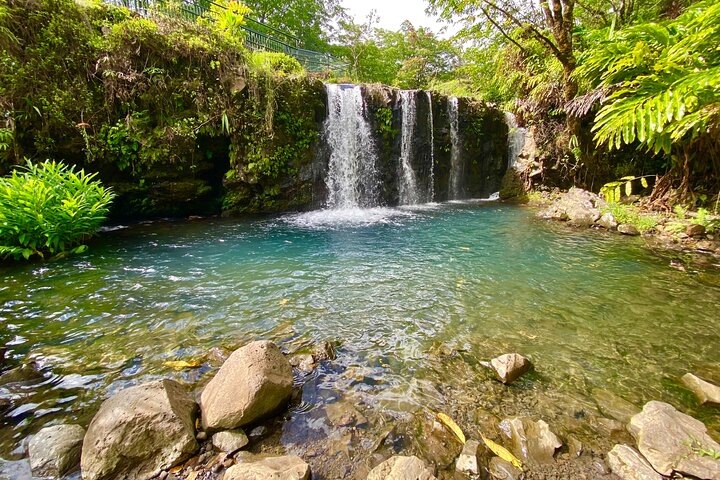 Full Day Private Road Tour to Hana - Image 2