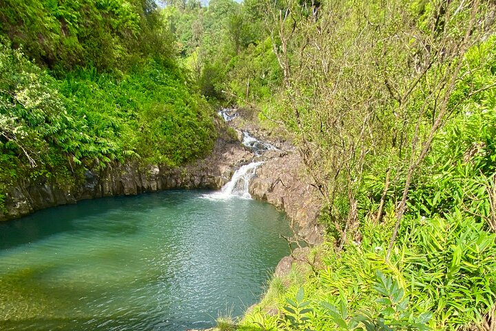 Full Day Private Road Tour to Hana - Image 4