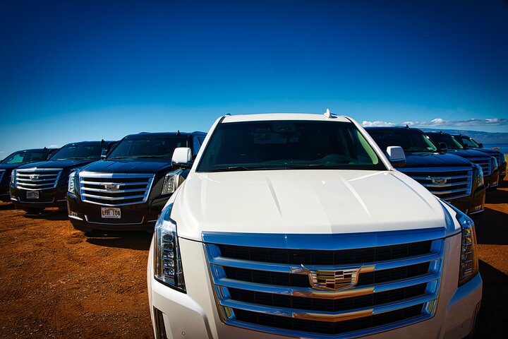 Full Day Private Upcountry Maui Sunset Tour - Luxury Escalade - Image 5