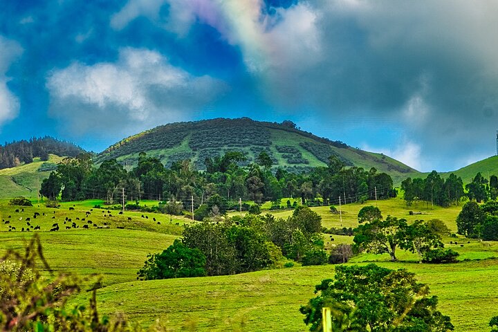 Full Day Private Upcountry Maui Sunset Tour - Luxury Escalade - Image 3