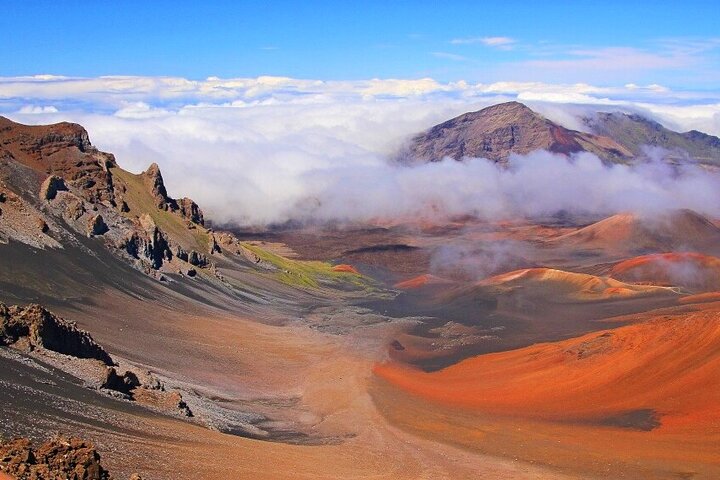 Haleakala Classic Summit Tour with Haleakala EcoTours (Vehicle Tour) - Image 4