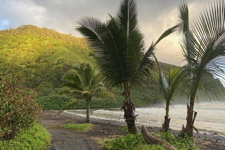 Halfway to Hana Jeep Adventure - a private tour - Image 5