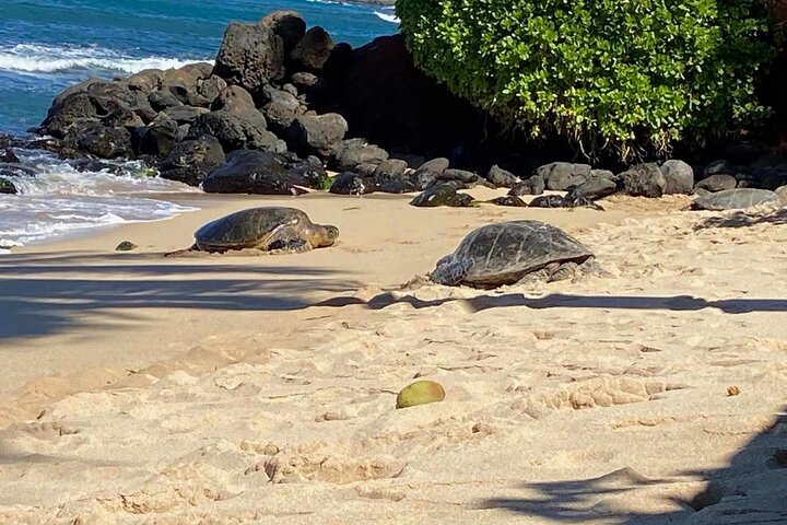 Halfway to Hana Jeep Adventure - a private tour - Image 3
