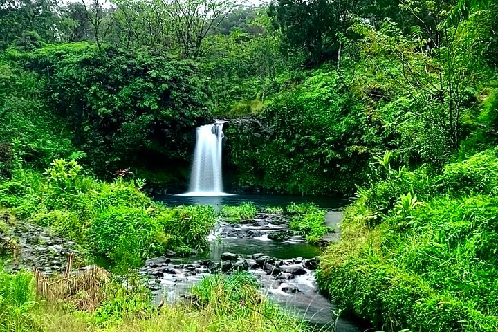 Hāna and Beyond - Rainforest Tour - Image 2