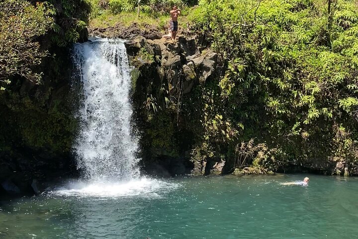 Hāna and Beyond - Rainforest Tour - Image 3