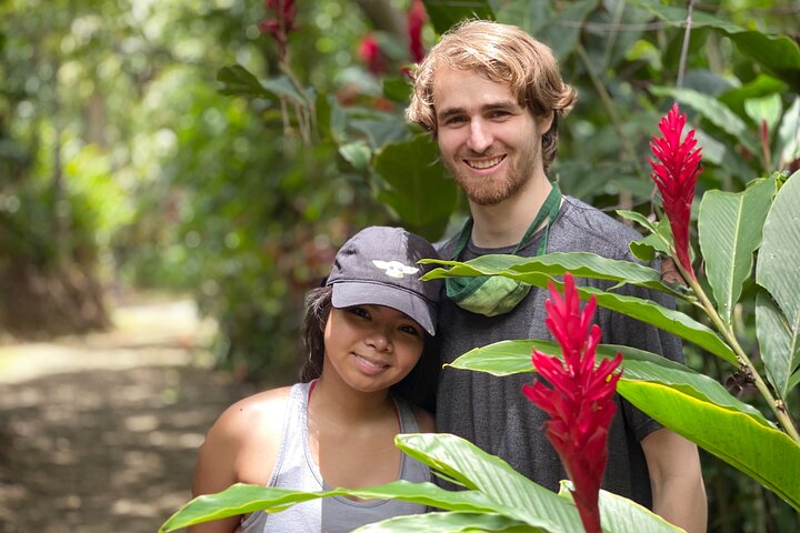 HEAVENLY HANA TOUR (private) - Image 5