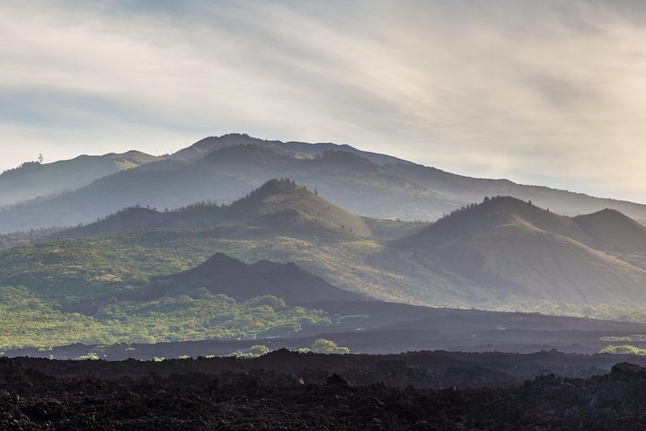 Kahului Shore Excursion: Private Tropics of Maui & Rainforest  - Image 5