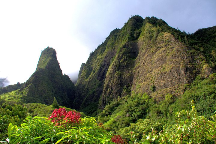 Lahaina Shore Excursion: Tropics of Maui & Rainforest Valley  - Image 3