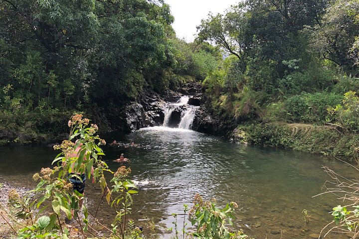 Luxury Road to Hana & Waterfall Hike from West Maui - Image 2