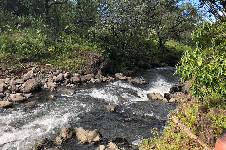 Luxury Road to Hana & Waterfall Hike from West Maui - Image 4