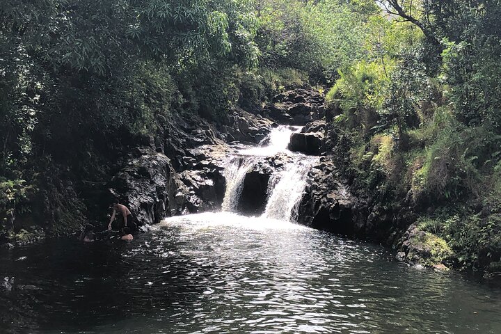 Luxury Road to Hana & Waterfall Hike from West Maui - Image 3