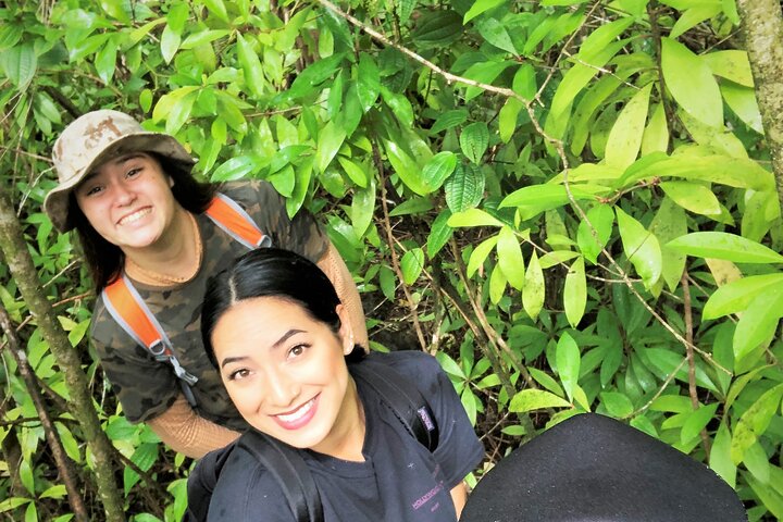 Luxury Road to Hana & Waterfall Hike from West Maui - Image 1