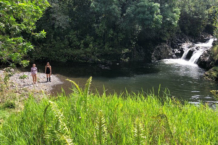 Luxury Road to Hana & Waterfall Hike from West Maui - Image 5