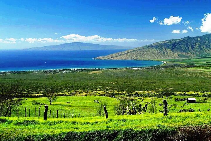Maui Island Private Day Tour - Image 4