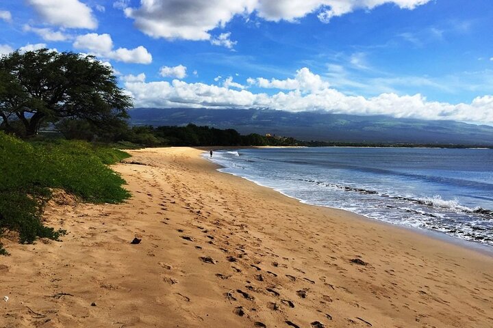 Maui Island Private Day Tour - Image 5