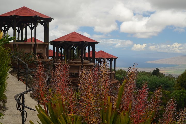 Maui Tour : Iao Valley, Hawaiian Distillery and Lavender Farm Tour - Image 5