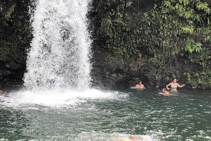 Maui Tour : Road to Hana Day Trip from Kahului - Image 1