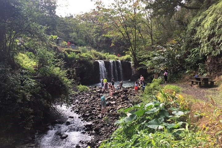 Maui Tour : Road to Hana Day Trip from Lahaina  - Image 2