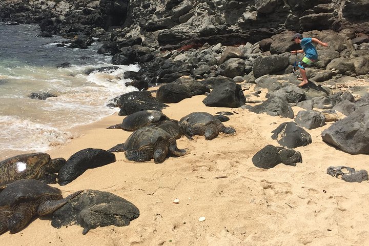 Maui Tour : Road to Hana Day Trip from Lahaina  - Image 5