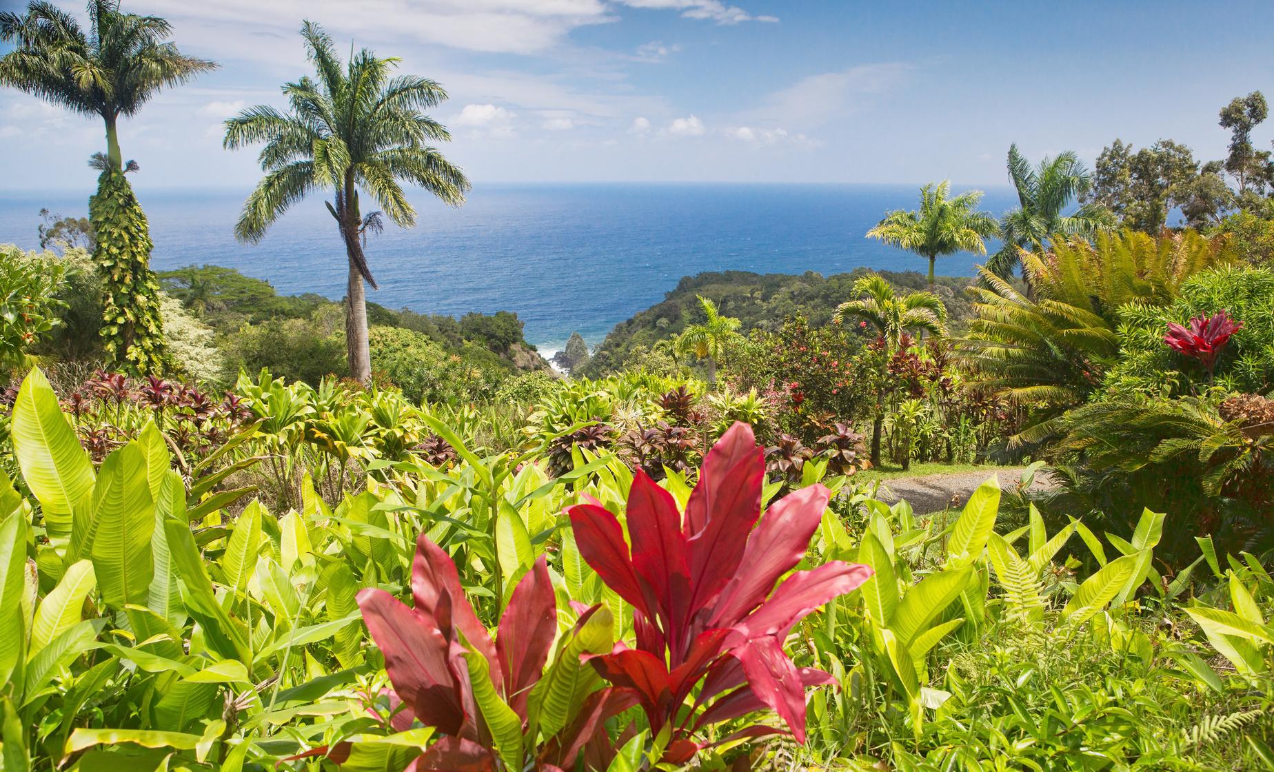 Private Best Highlights of Maui - Image 1