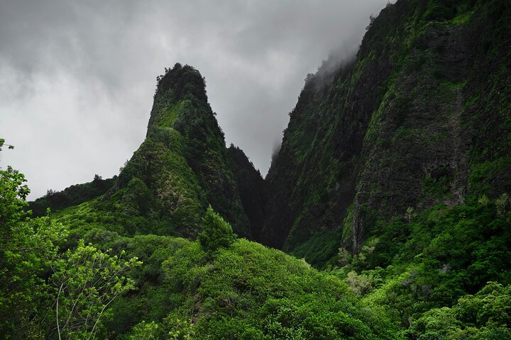 Private Full Day Luxury Escalade Iao Valley and Upcountry Farm Tour - Image 1