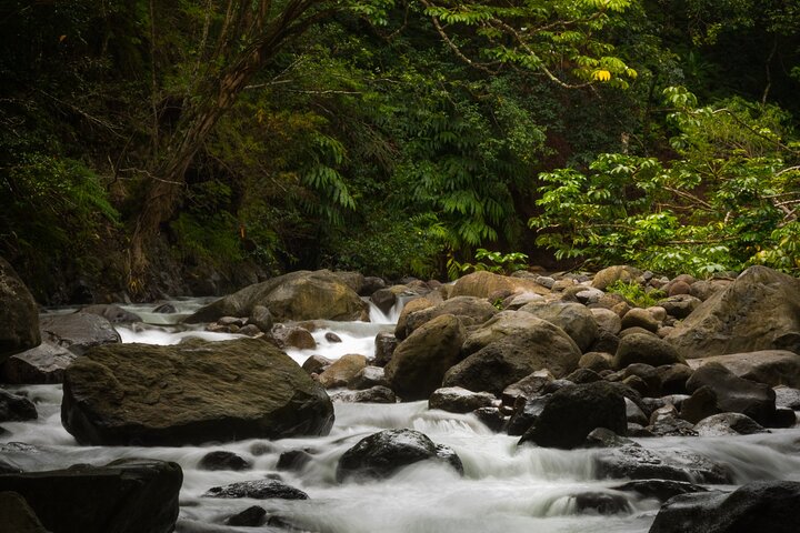 Private Full Day Luxury Escalade Iao Valley and Upcountry Farm Tour - Image 4
