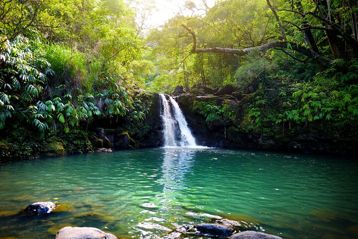 Private Full Day Luxury Escalade Iao Valley and Upcountry Farm Tour - Image 3
