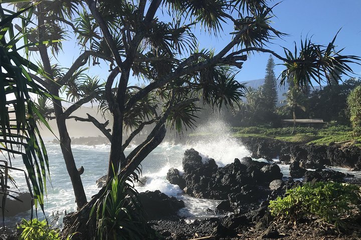 Private Halfway to Hana Tour - Image 2