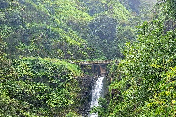Private Road to Hana or any Maui destination in Luxury Mercedes Sprinter - Image 5