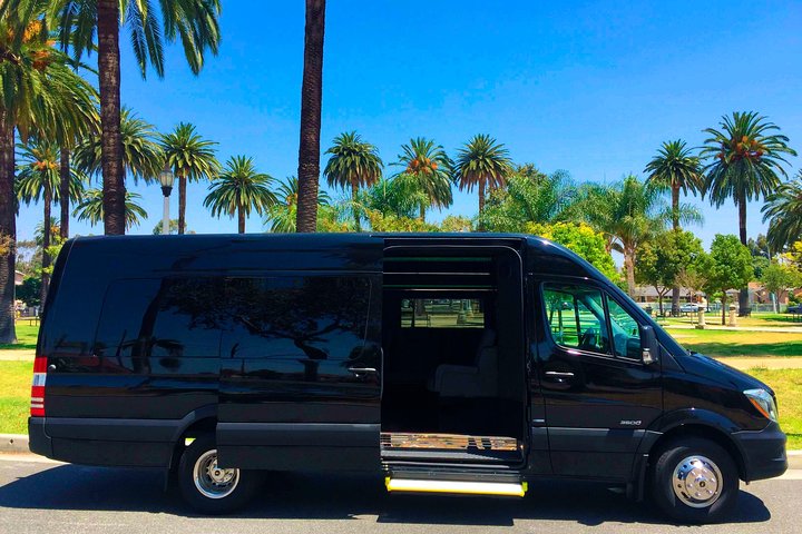 Private Road to Hana or any Maui destination in Luxury Mercedes Sprinter - Image 1