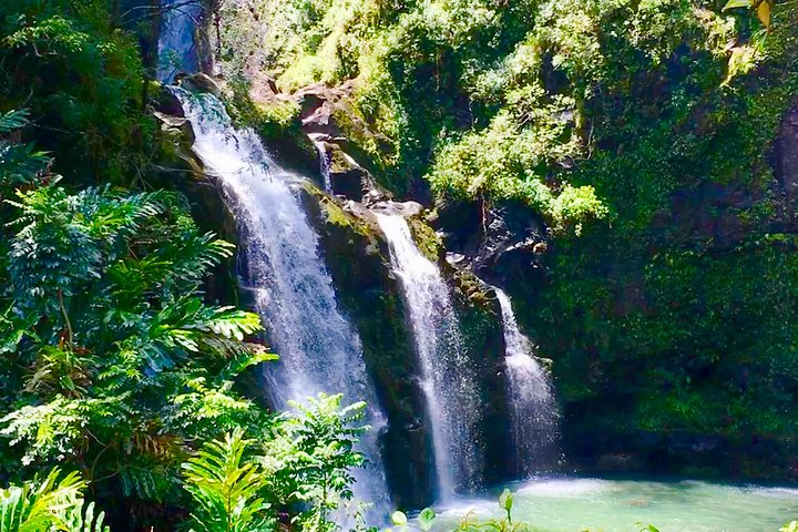 Private Road to Hana Tour - Image 2