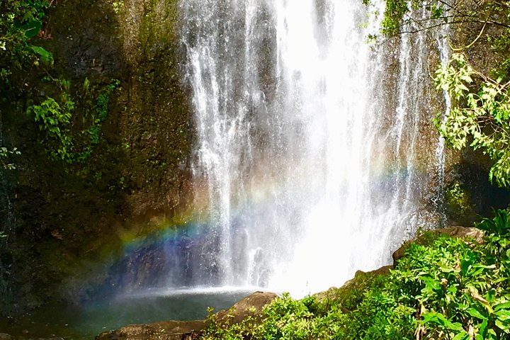 Private Road to Hana Tour - Image 4
