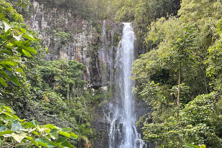 Private Road to Hana Tour with Lunch - Image 2