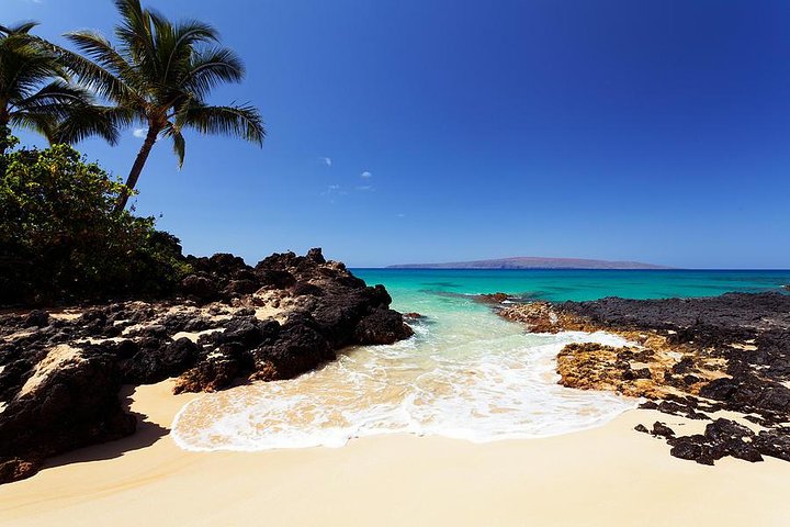 Private South & West Maui Beaches Tour - Image 1