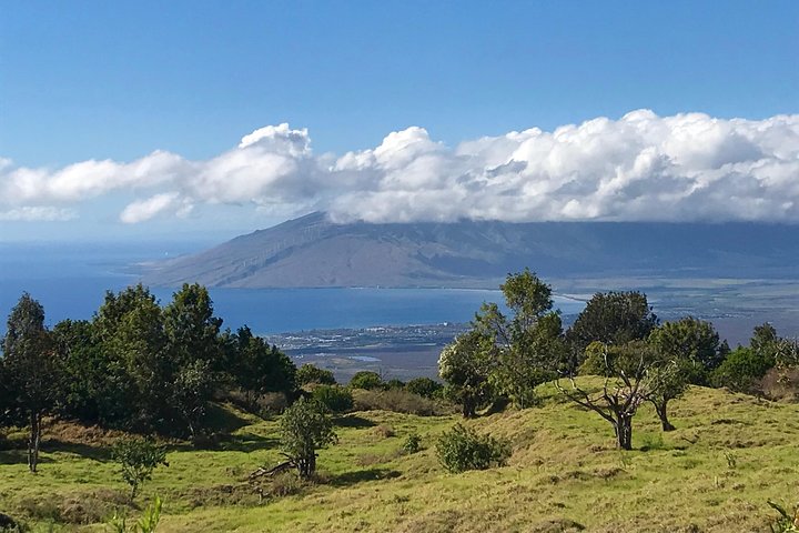 Private Upcountry Maui Tour - Image 1