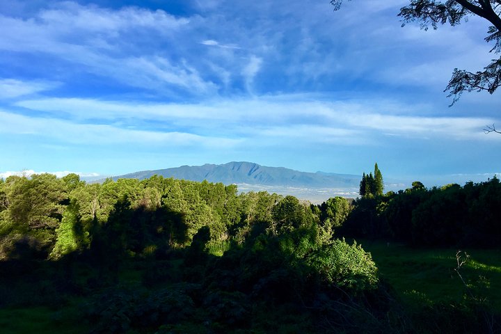 Private Upcountry Maui Tour - Image 2