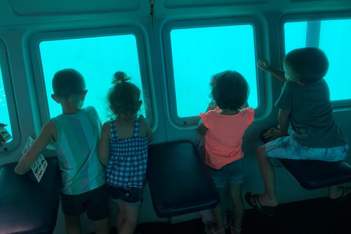 Reefdancer Semi-Sub Boat Cruise from Lahaina Harbor - Image 2