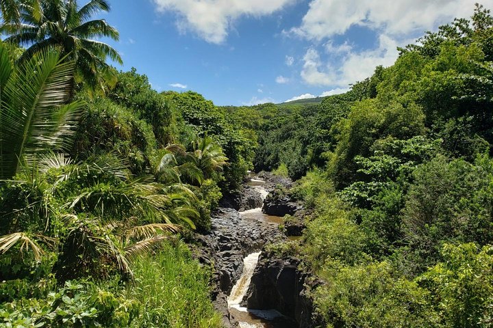 Road to Hana Adventure - Private - Just for Your Family or Group - Image 3