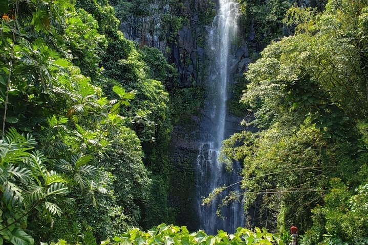 Road to Hana Adventure - Private - Just for Your Family or Group - Image 1