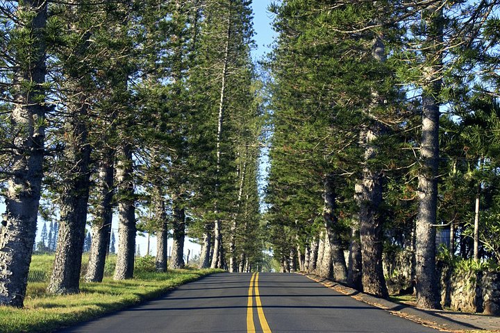 Road to Hana - Most Recommended Tour on Maui - Image 1