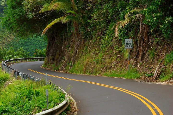 Road to Hana - Most Recommended Tour on Maui - Image 4