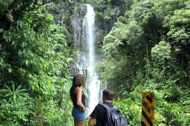 Road to Hana - Most Recommended Tour on Maui - Image 2