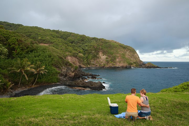 Road to Hana Tour - Image 1
