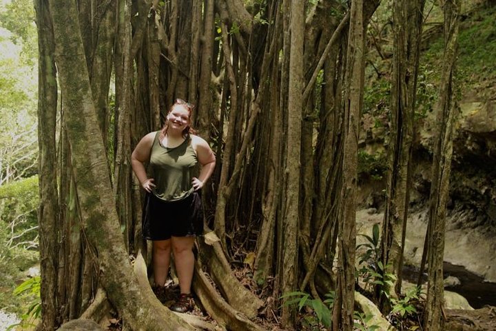 Road to Hana Tour - Image 5