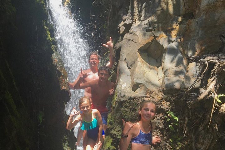 Road to Hana Tour - Image 2